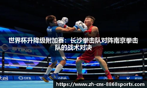 世界杯升降级附加赛:长沙拳击队对阵南京拳击队的战术对决